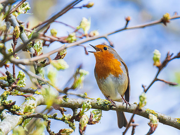 AdobeStock_334311676_2.jpeg